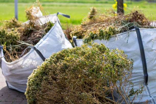 Best Electronics Removal Services  in Shasta Lake, CA